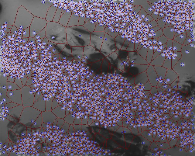 Fibre distribution image